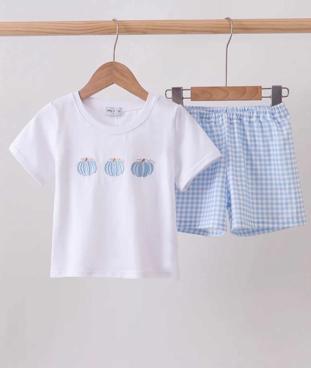 - Blue Pumpkin Embroidered Gingham Shorts Set 12 Months